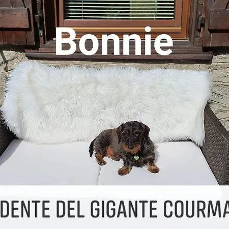 Hotel Dente Del Gigante